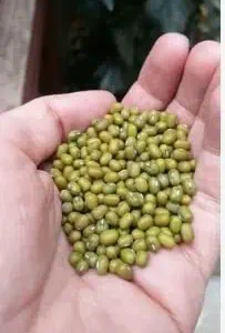Desi Moong Dal