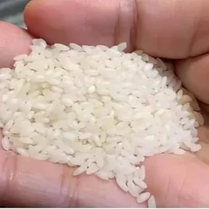 Govindobhog Premium Basmati Rice