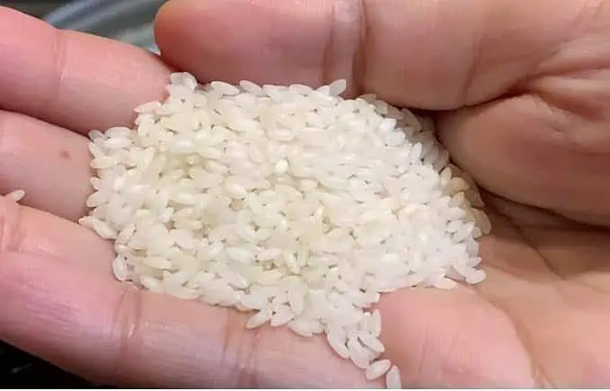 Govindobhog Premium Basmati Rice