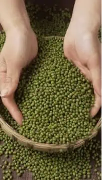 Desi Moong Dal