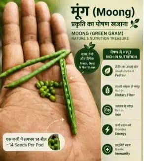 Desi Moong Dal