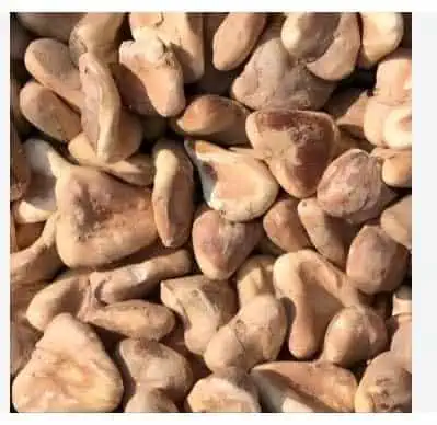 Dry Singhara 1kg
