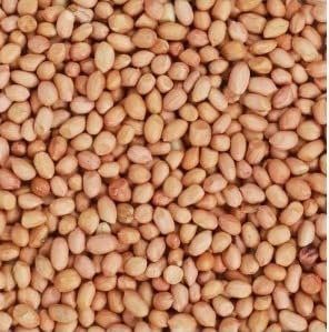 Mungfali Badam