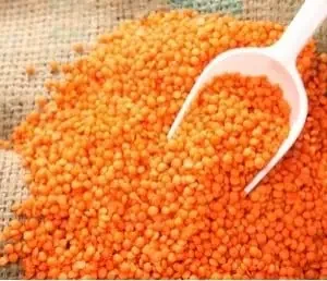 Premium Masoor Dal