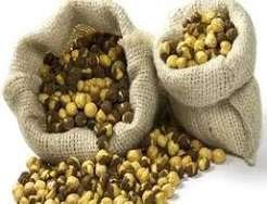 Roasted Chana