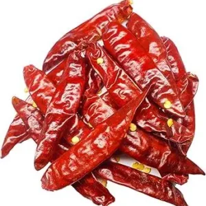 Champaran Village Laal mirch Chilli