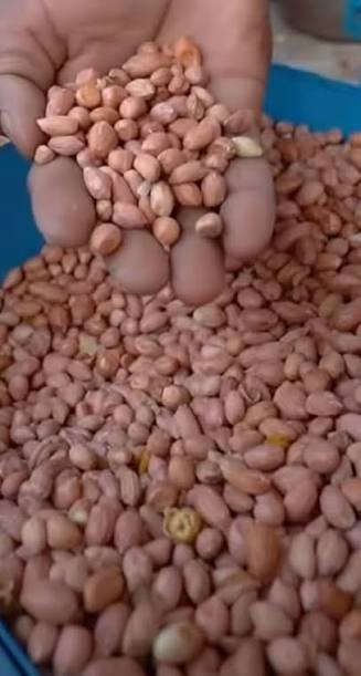 Mungfali Roasted