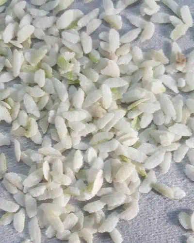 Basmati Chura