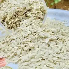Katarni Chura