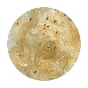 Sabudana Papad