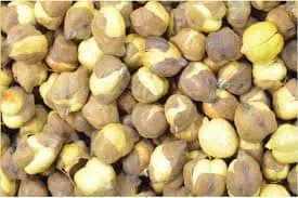 Champaran Masala Bihari Sattu Powder