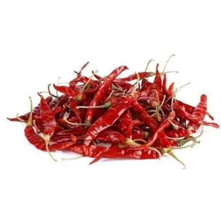Champaran Village Laal mirch Chilli