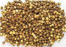 Roasted Chana