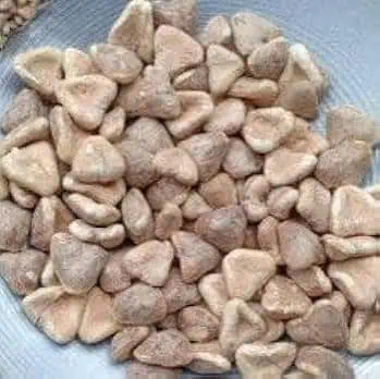 singhara whole natural