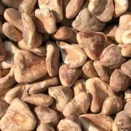 singhara whole natural